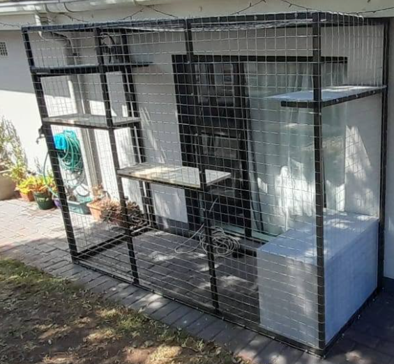 Catio’s
